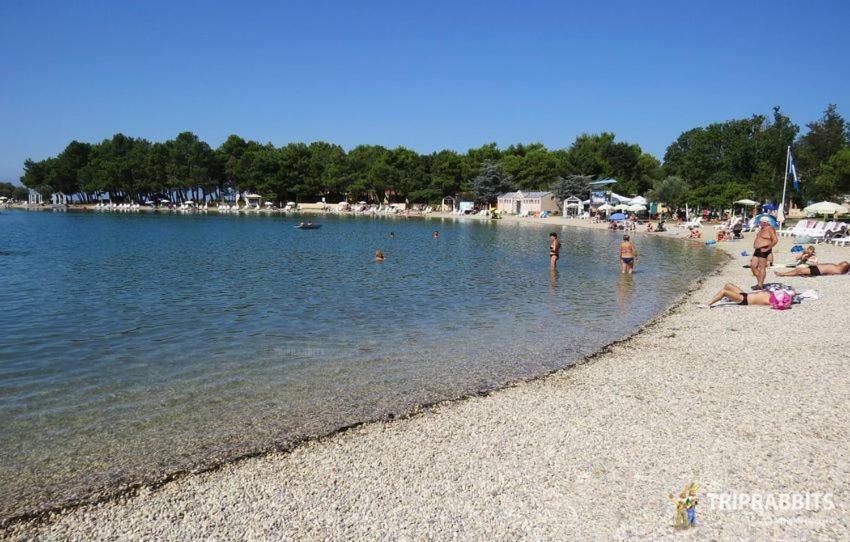 Apartamento Kuca Za Odmor Petra Cepljani Exterior foto